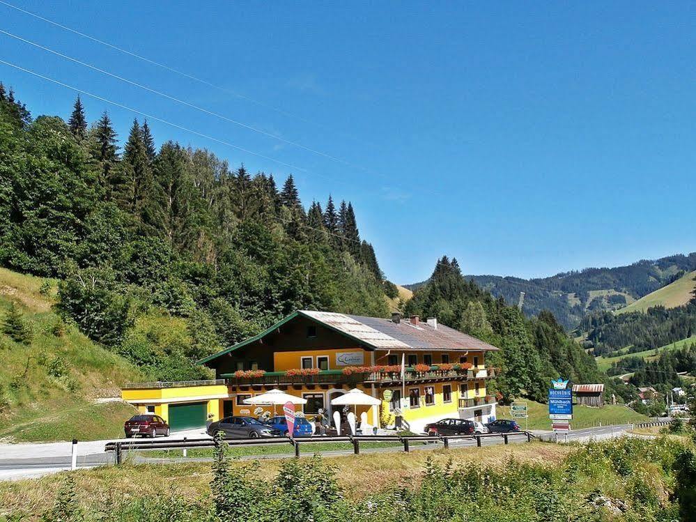 Hotel-Restaurant Bike&Snow Lederer Mühlbach am Hochkönig 外观 照片