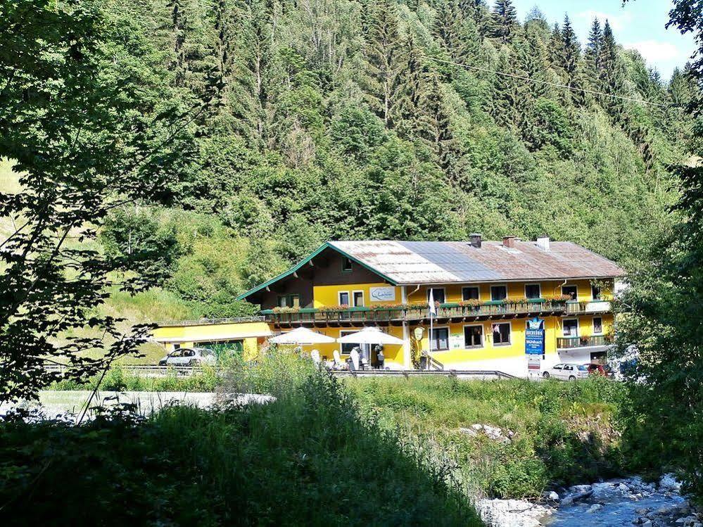 Hotel-Restaurant Bike&Snow Lederer Mühlbach am Hochkönig 外观 照片